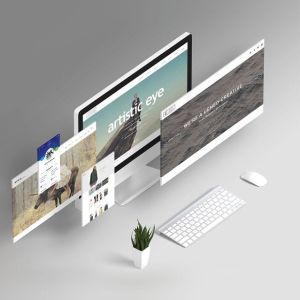 Corporate Showcase Website Design Package